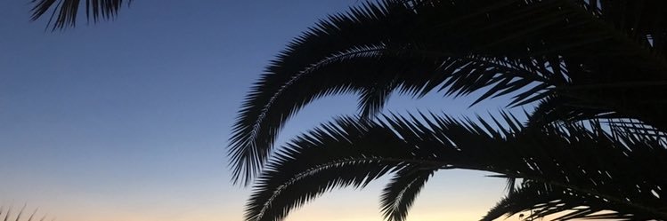 Selmouschka's profile banner image