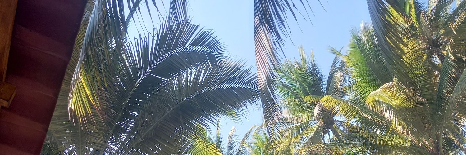 FebeMurilloSV's profile banner image