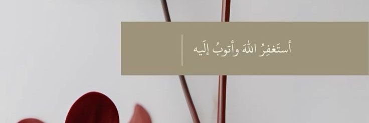 ايليـن🌸 banner