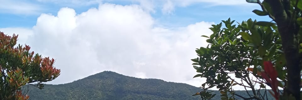 amartabak's profile banner image