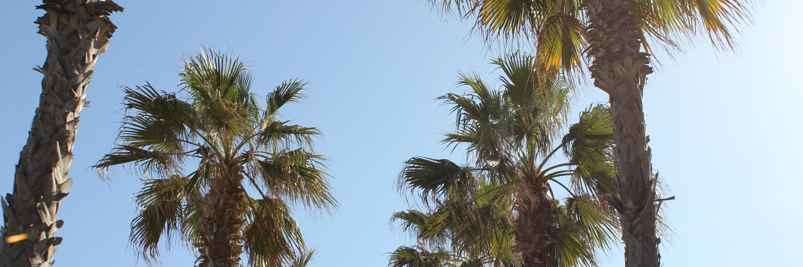_StephMB_'s profile banner image
