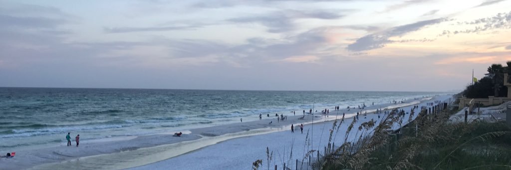 jilltate's profile banner image