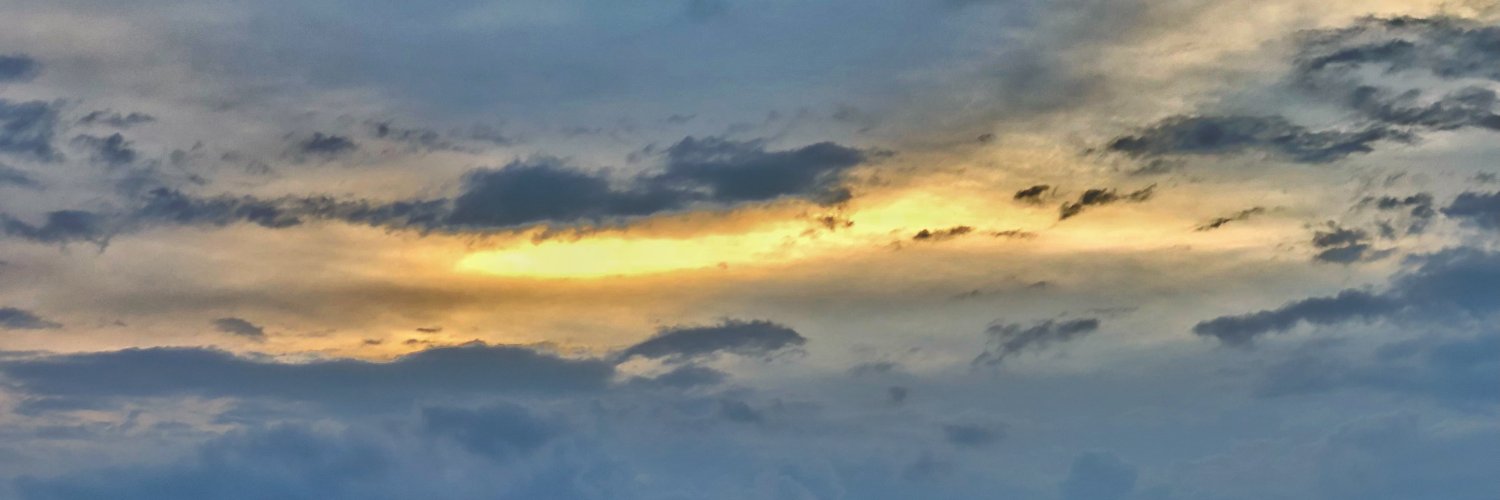 Valeria Kholostenko banner