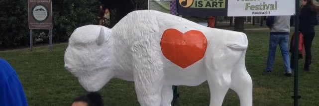 buffalo_beth's profile banner image