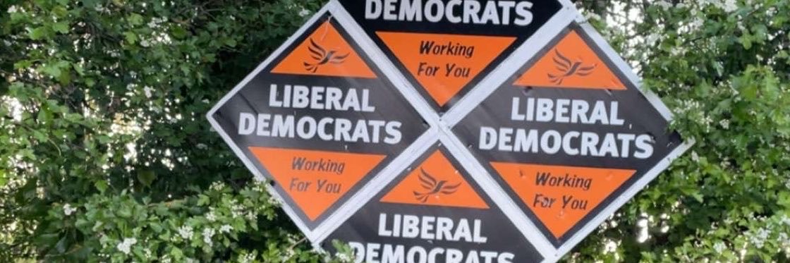 LibDemLarkin's profile banner image