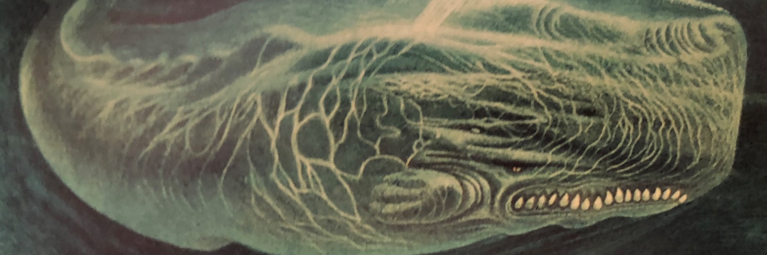 davisbthompson's profile banner image