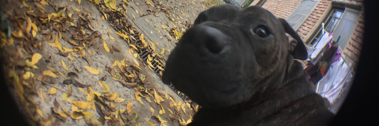 xGroi's profile banner image
