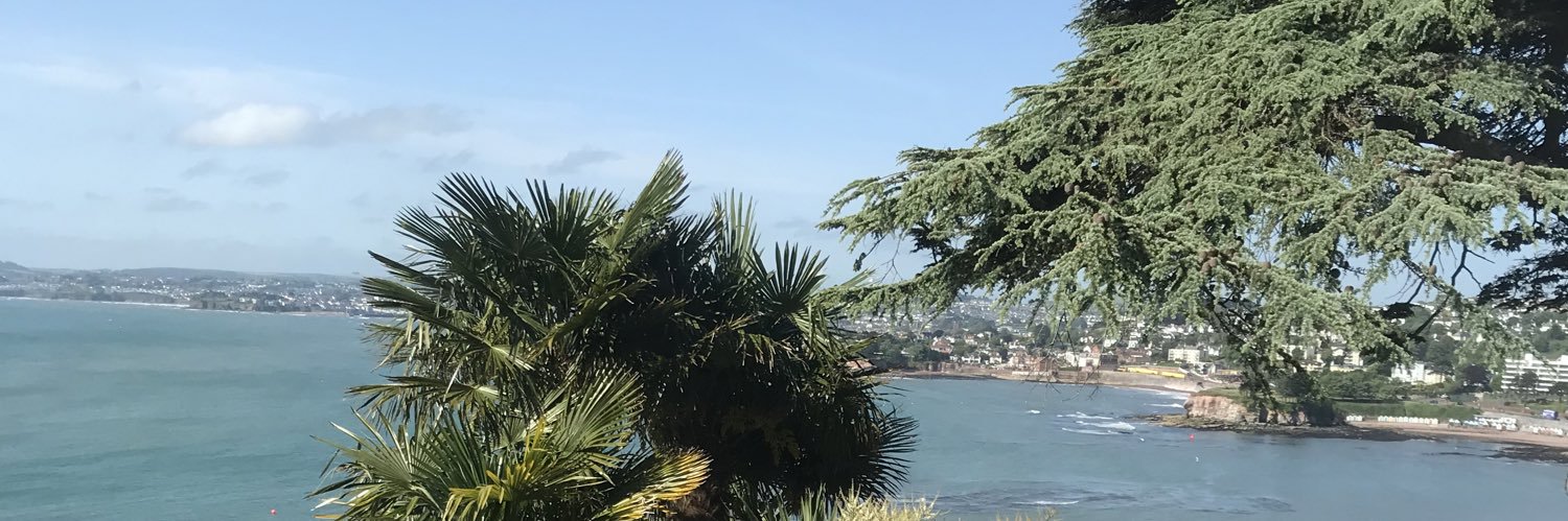 AngelaBB1's profile banner image