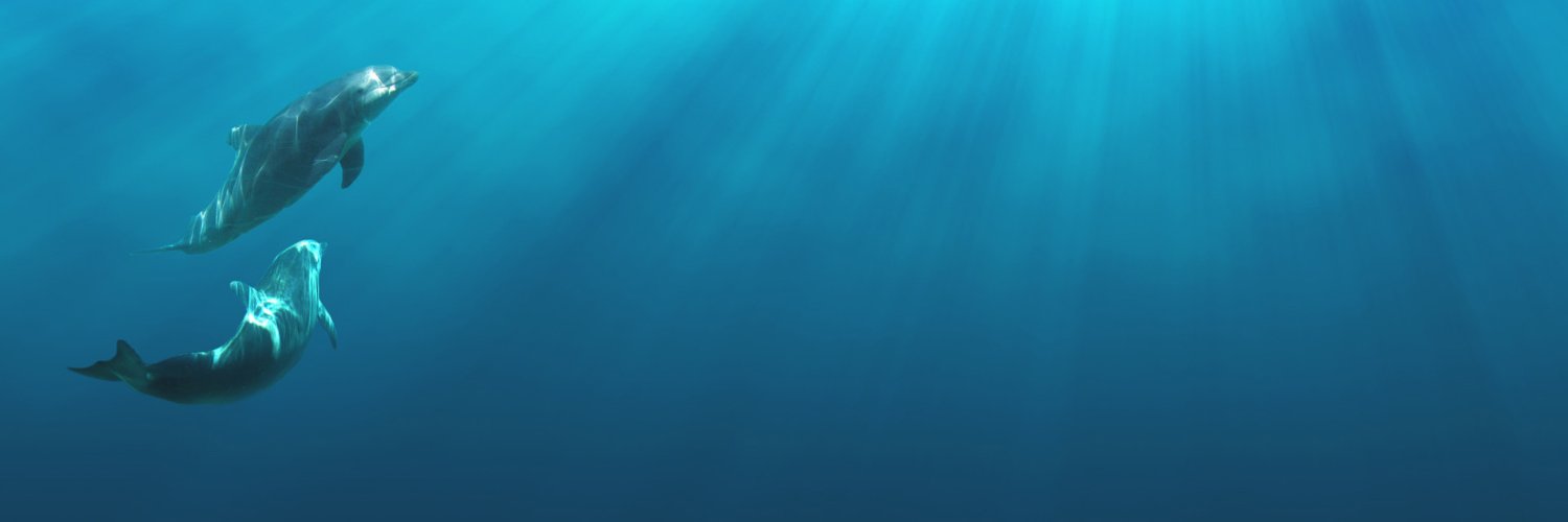 wouldbechild's profile banner image