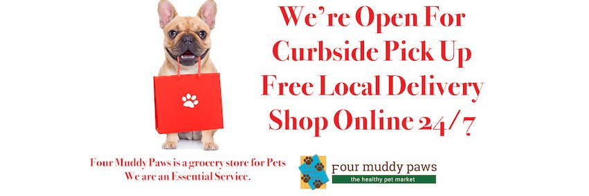 FourMuddyPaws's profile banner image