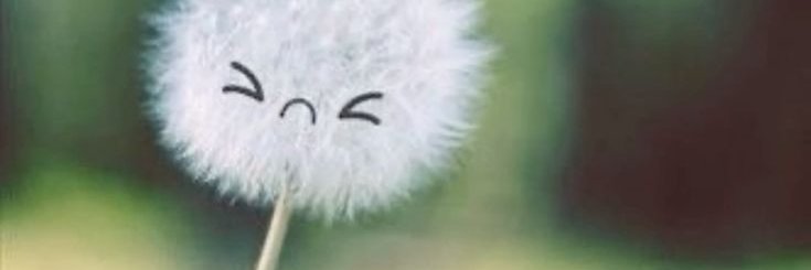 Loui .. banner