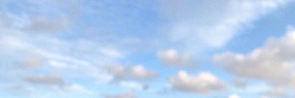pamelagarces_'s profile banner image