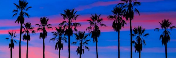 tweetCRAMER Profile Banner