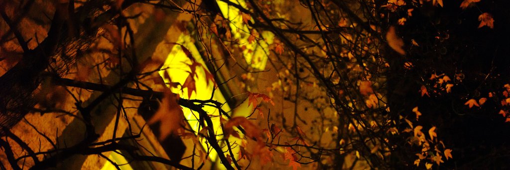 pablo neruda in love banner