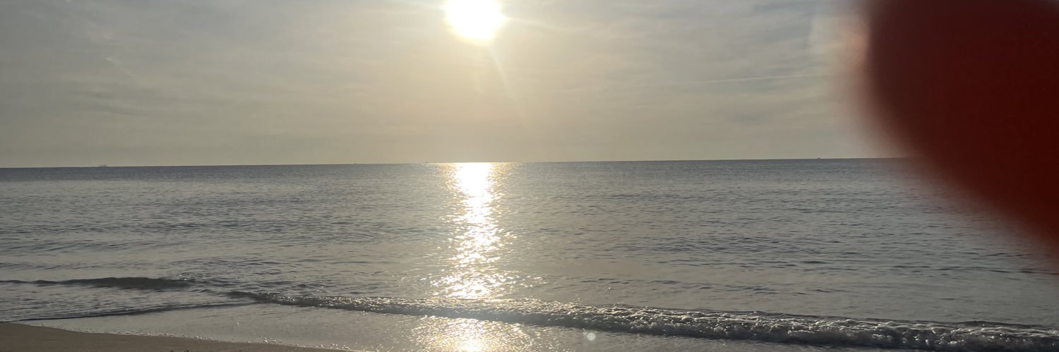 Lando_2's profile banner image
