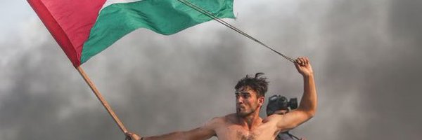 LianaCorr Profile Banner