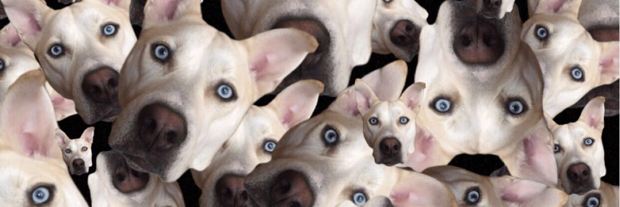 _ohheykay's profile banner image