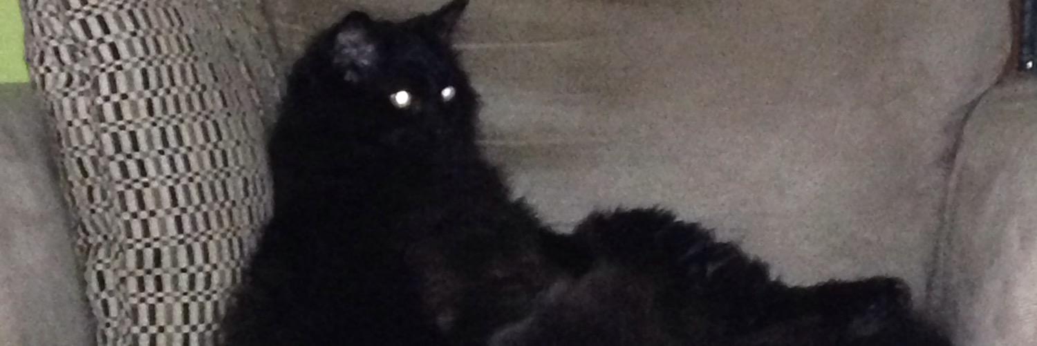 _moobies_'s profile banner image