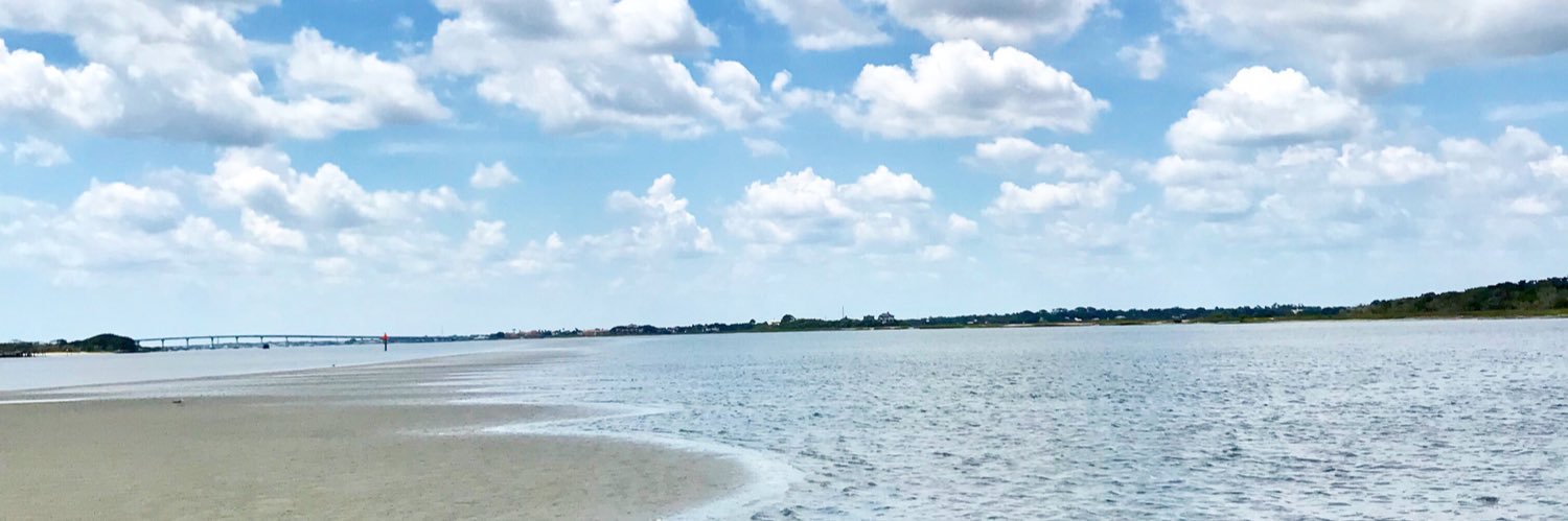 BushAlicia's profile banner image