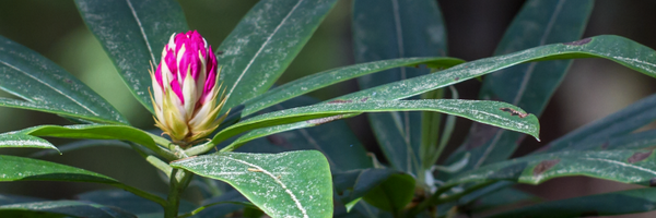 DaveOnFidalgo Profile Banner