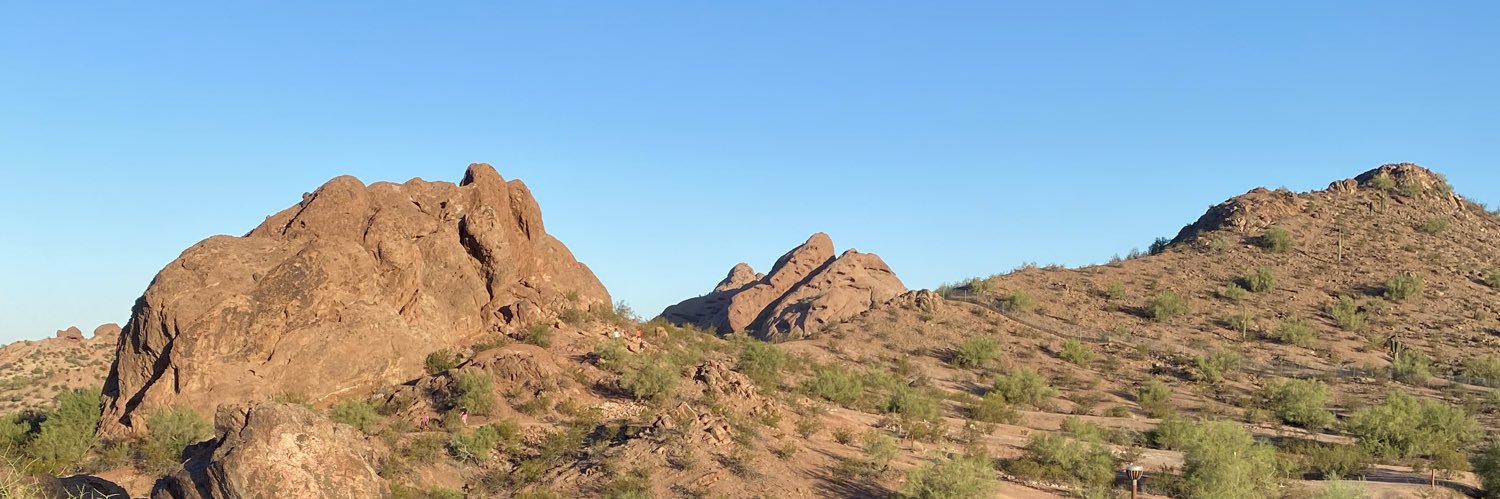 TierneyTurelli's profile banner image