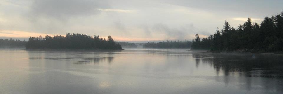 MadeleineTSH's profile banner image