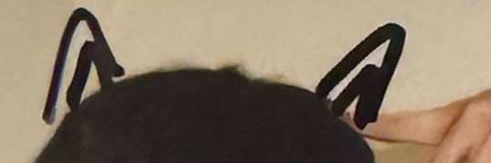 すーん banner