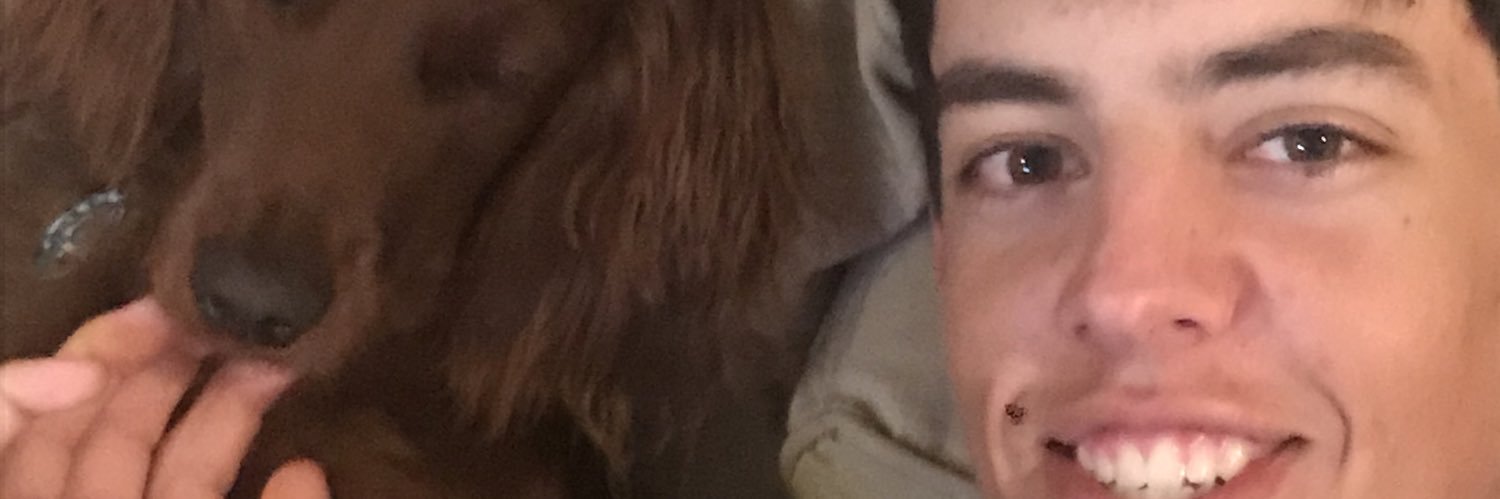 heathins's profile banner image