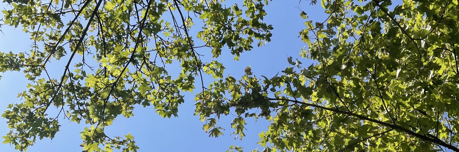 kelslittlefield's profile banner image