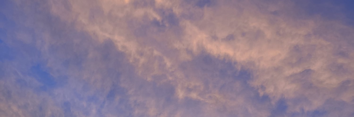 rinarinarin730's profile banner image