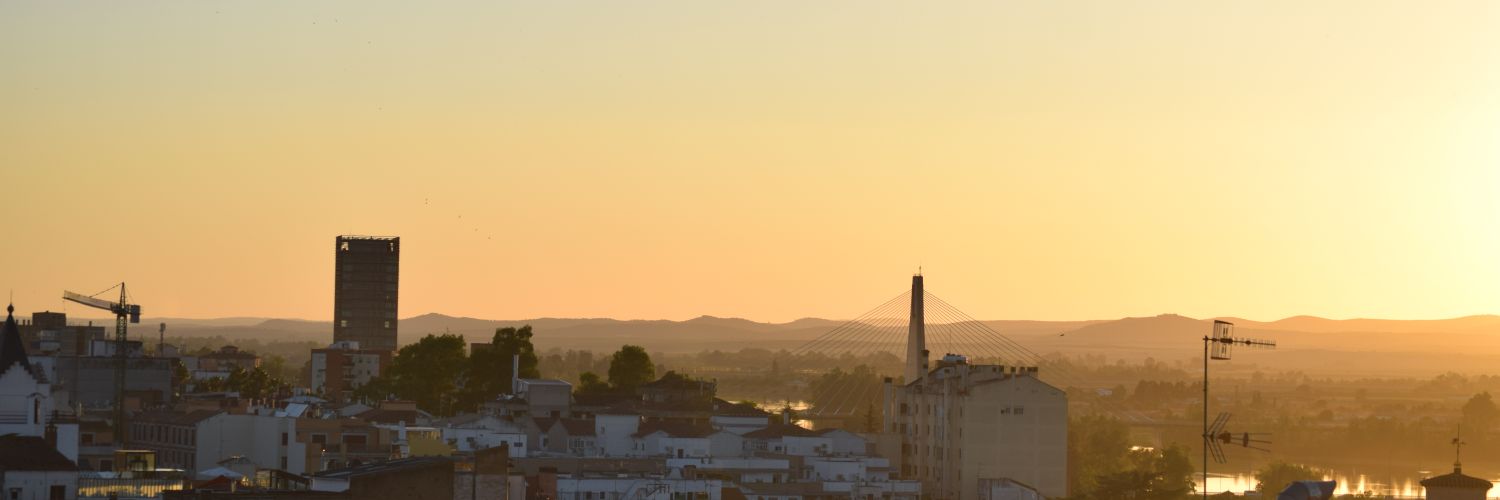 Ivanef banner