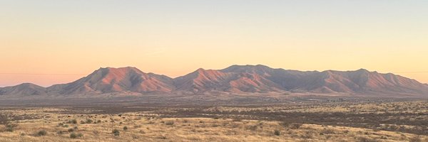 chase_wully Profile Banner