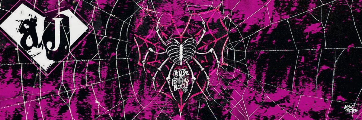 eden / hannah 𑣲 banner