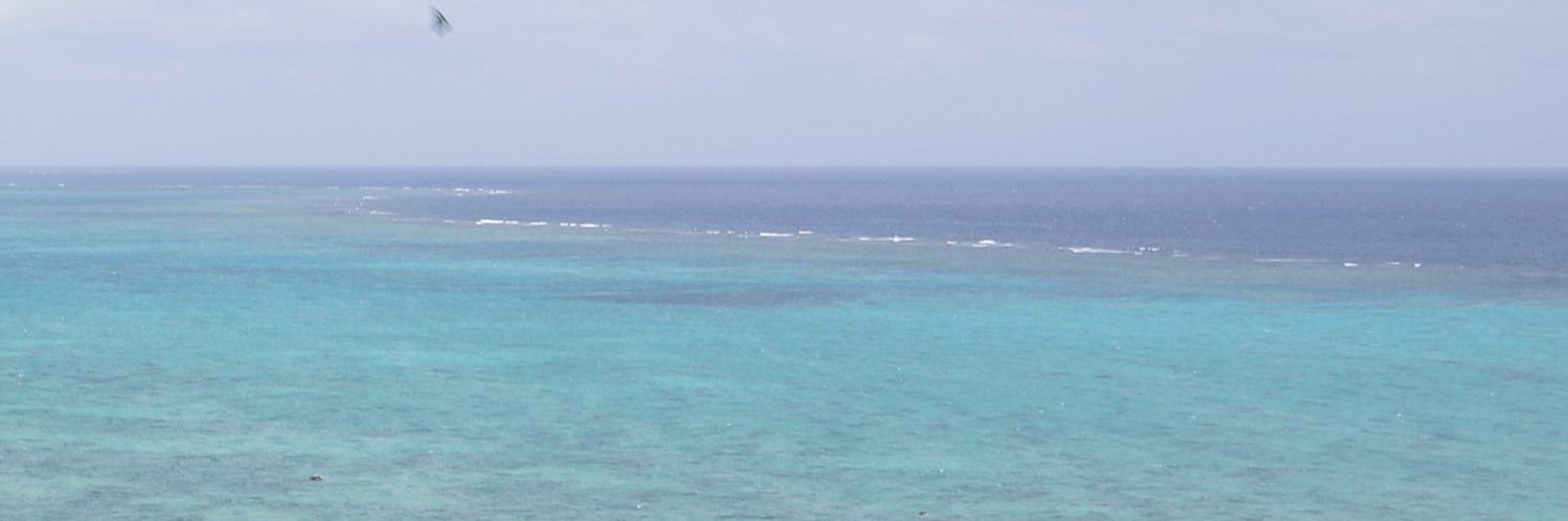 サーフ系ボディビルダー拓也 banner