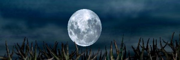 Plagued_Pirate Profile Banner