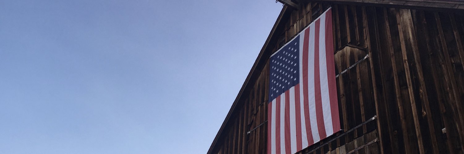 Complete Nutter Patriot banner
