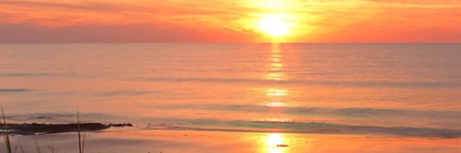 Concerned Citizen banner