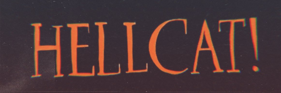 ৡ ᴛʀɪsʜ banner