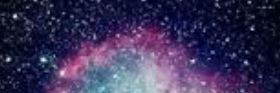 Estefania Alvarez banner