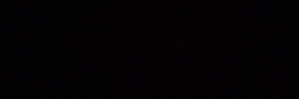 Shavacado99 Profile Banner