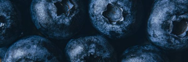 BLUEBERRYDEM0N Profile Banner