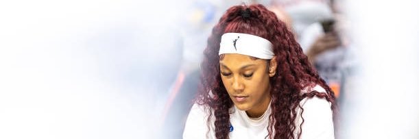 Kamilla Report banner