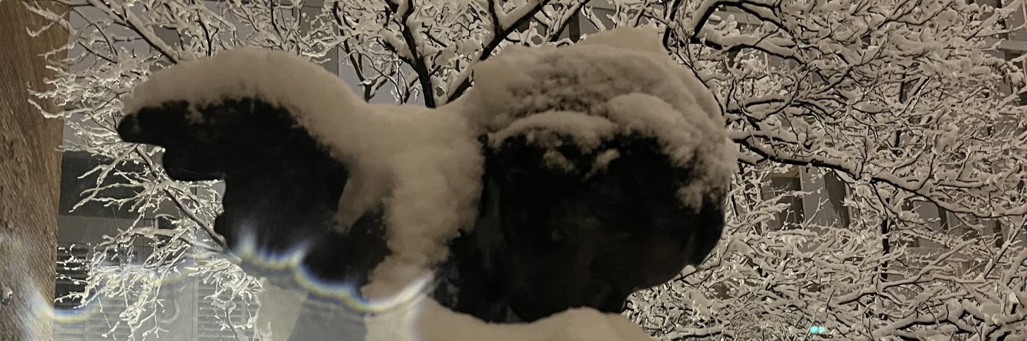 wendlingjohnr's profile banner image