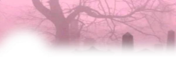 Flamtwtconfess Profile Banner