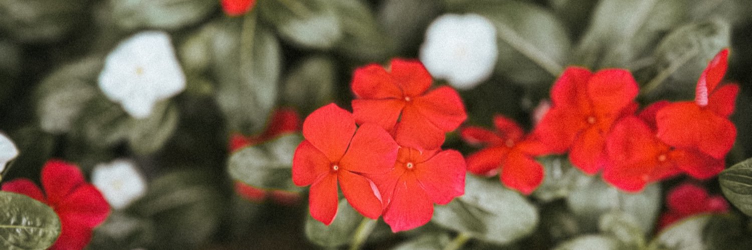 iSkoutys's profile banner image