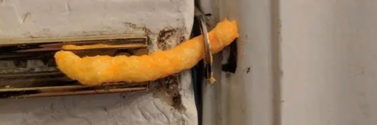 just_fella's profile banner image