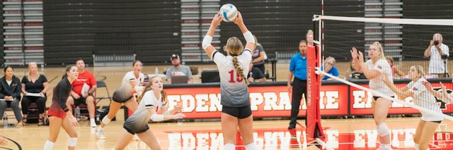 Josie Hellyer banner