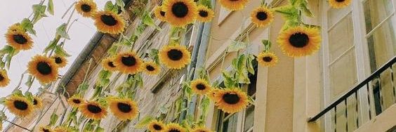 flavinhacarsall's profile banner image