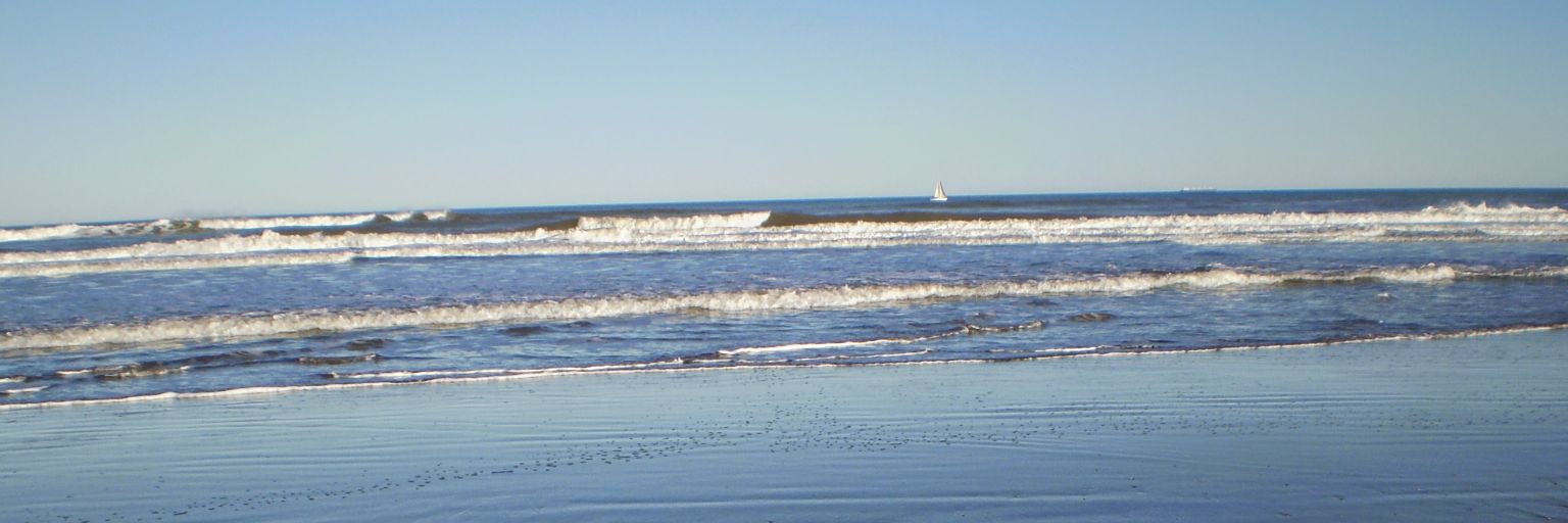 Gabriel Fusté Padrós banner