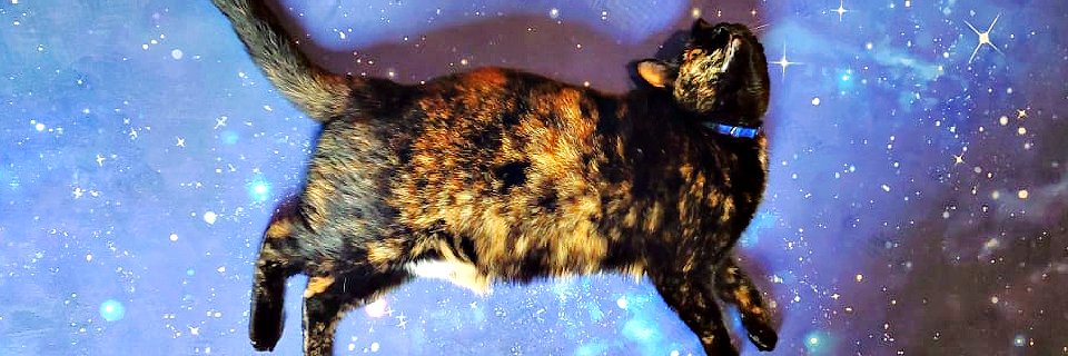 andmarstan's profile banner image